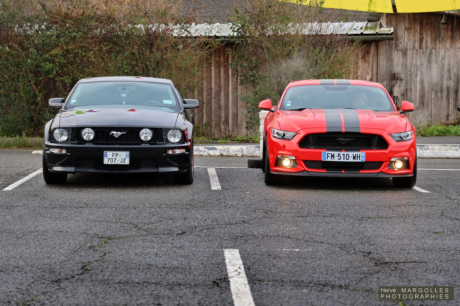 Ford Mustang.JPG